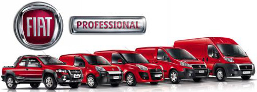 fiat professional 